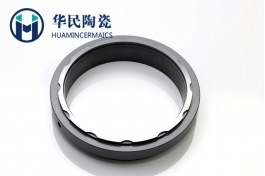碳化硅陶瓷密封环